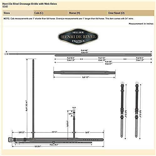 Henri de Rivel Pro Padded Dressage Bridle with Web Reins
