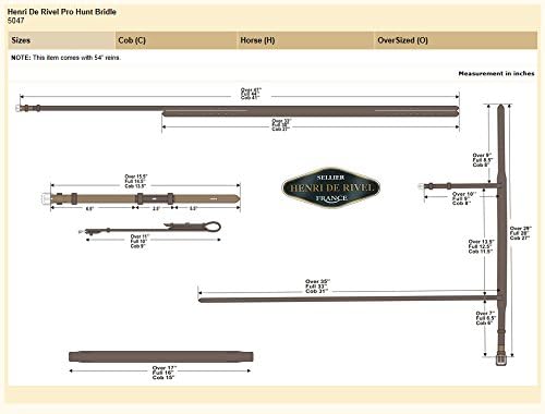 Henri de Rivel Pro Hunt Bridle