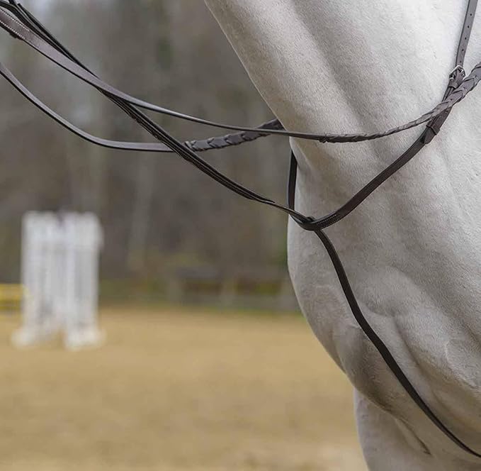 Avignon Standing Martingale (Cob, Havana)