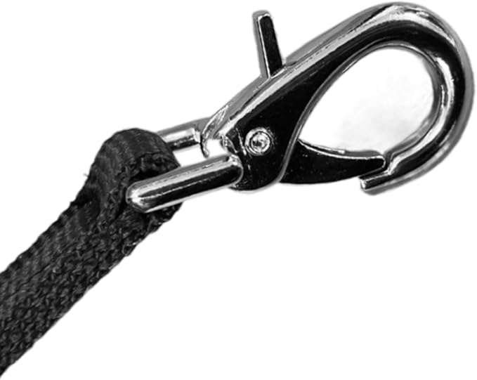 Double Buckle Swivel Lunging Chin Strap, Lunging Strap for Horse Lunge Line,Lunge Strap with Solid Hardware, Lunging Aid for Horse Training, Improve Control and Performance