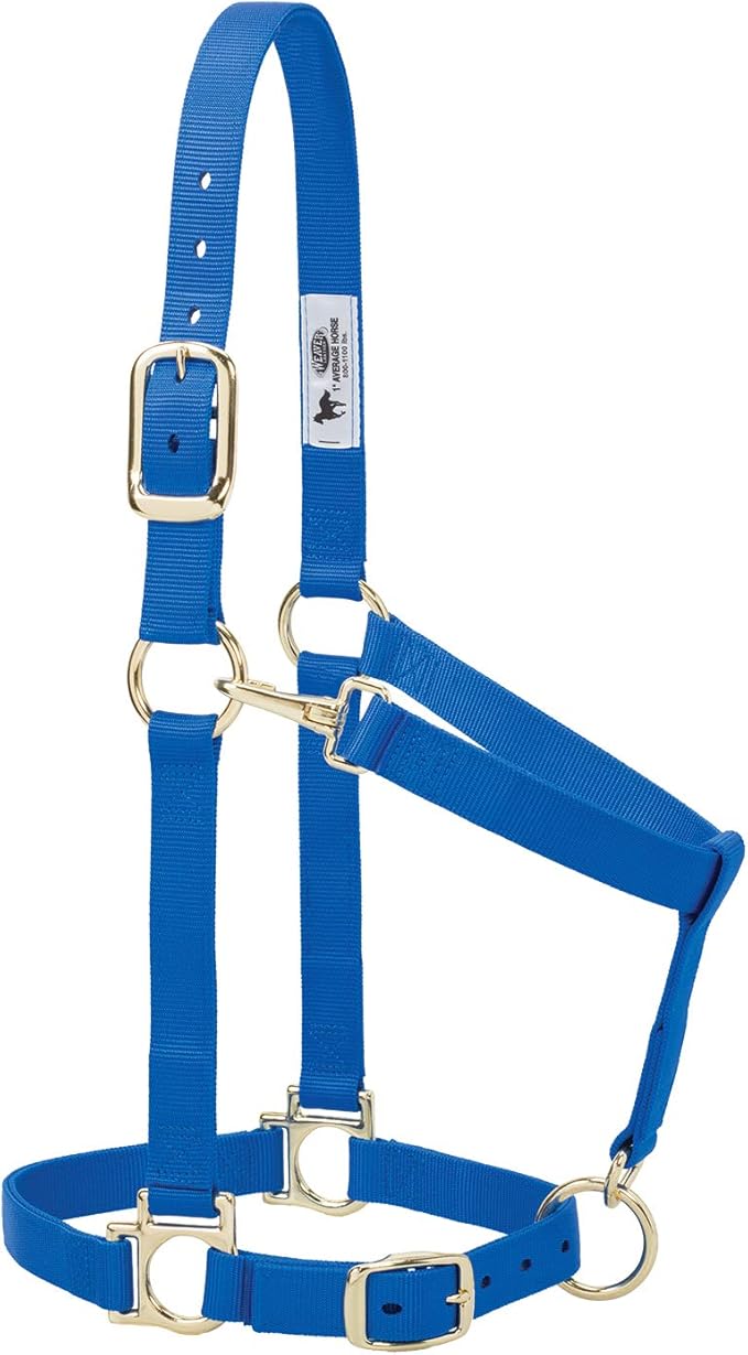 Weaver Leather Basic Adjustable Nylon Halter, Blue, 1" Large Horse