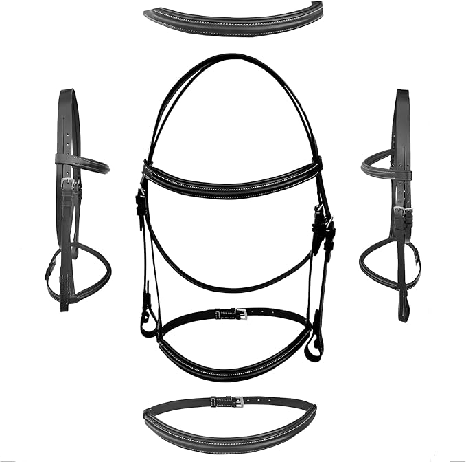 Majestic Ally Padded Raised English Bridle, Premium Leather, Matching Laced Reins
