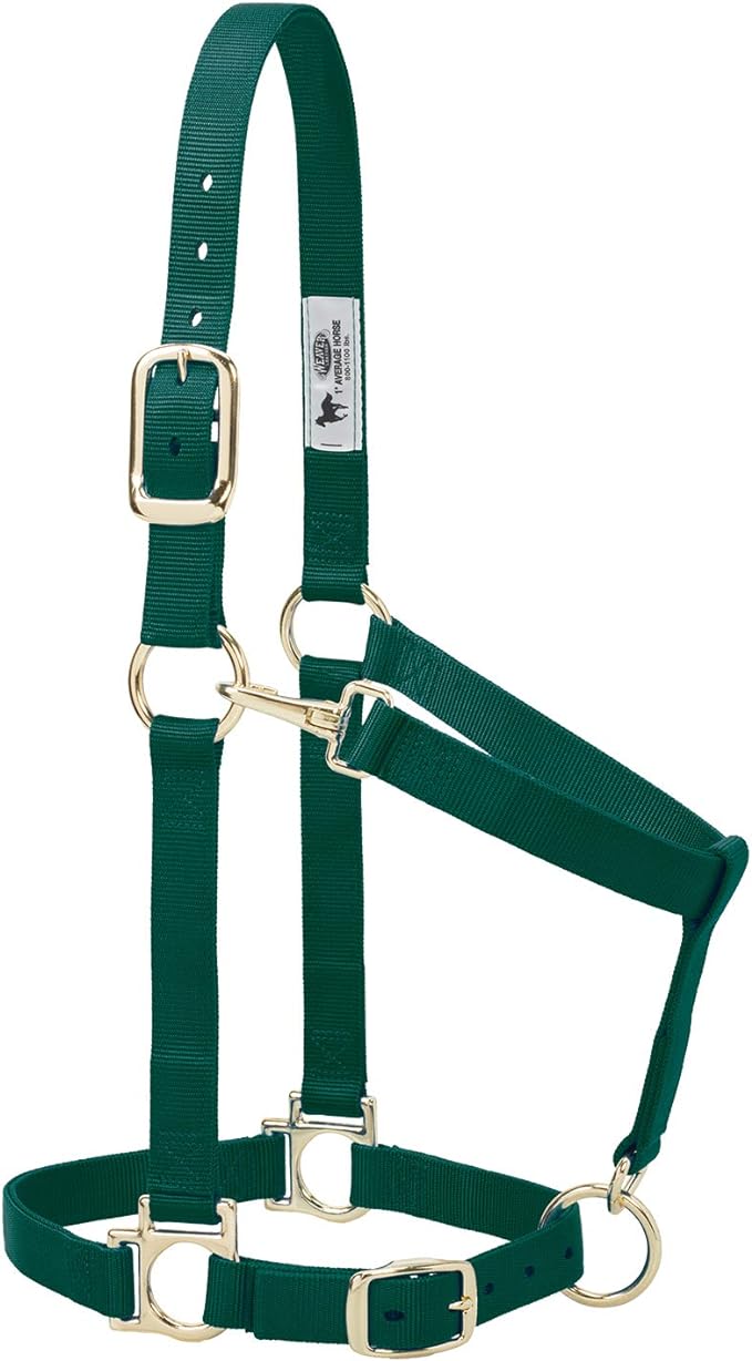Weaver Leather Basic Adjustable Nylon Halter, Hunter Green, 1" Small Horse
