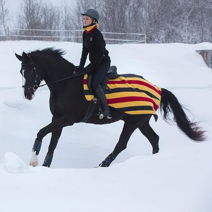 Horseware Rambo Newmrkt Competition Sheet S Gold