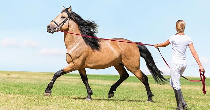 Southwestern Equine Lunge Line for Horses Cotton Horse Lunge Line with Bolt Snap & Rubber Stop (Red White & Blue, 24')