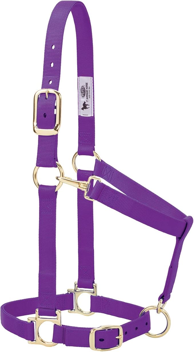 Weaver Leather Basic Adjustable Nylon Halter, Purple, 1" Large Horse