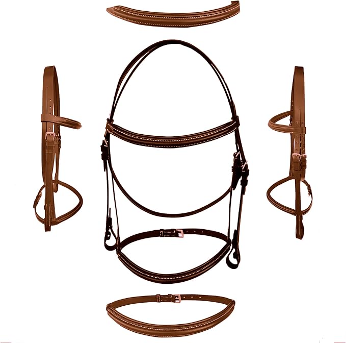 Majestic Ally Padded Raised English Bridle, Premium Leather, Matching Laced Reins