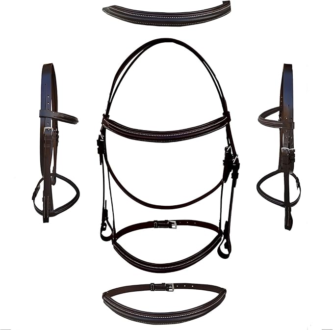 Majestic Ally Padded Raised English Bridle, Premium Leather, Matching Laced Reins
