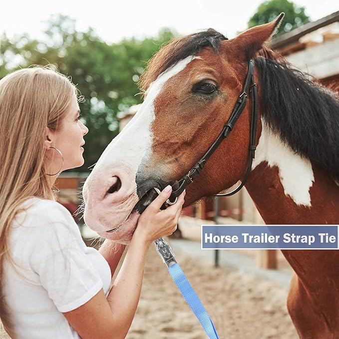 Rosemarie Trailer Cross Tie, Horse Haulage Adjustable Nylon Straps Leads with Panic Snap Fixed Eye Equestrian Equipment
