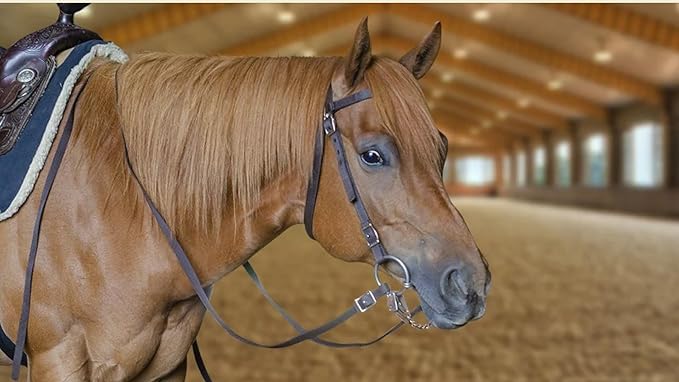 Tahoe Tack Plain Double Layer Nylon Headstall with Reins