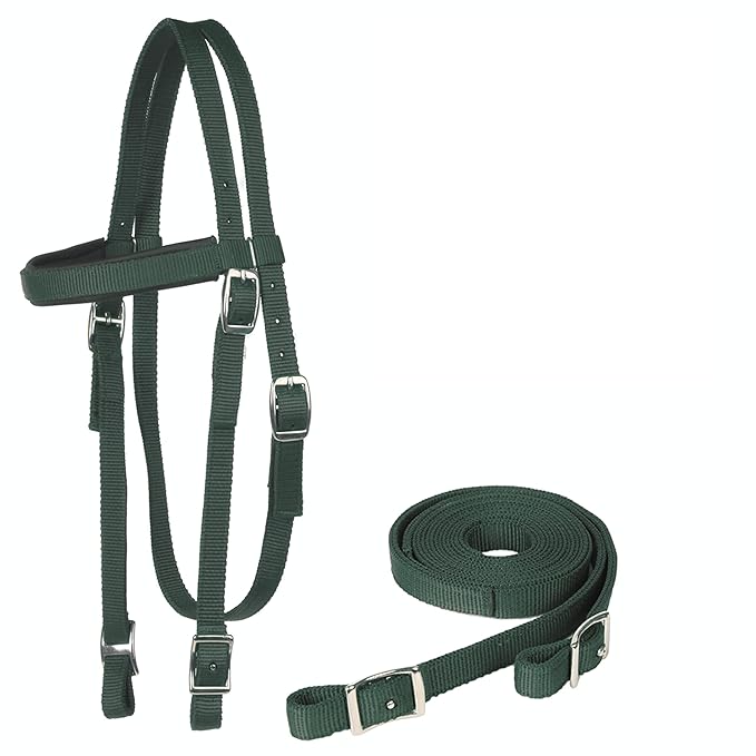 Majestic Ally Nylon Padded Browband Headstall with Reins for Horses (Hunter Green, Full)