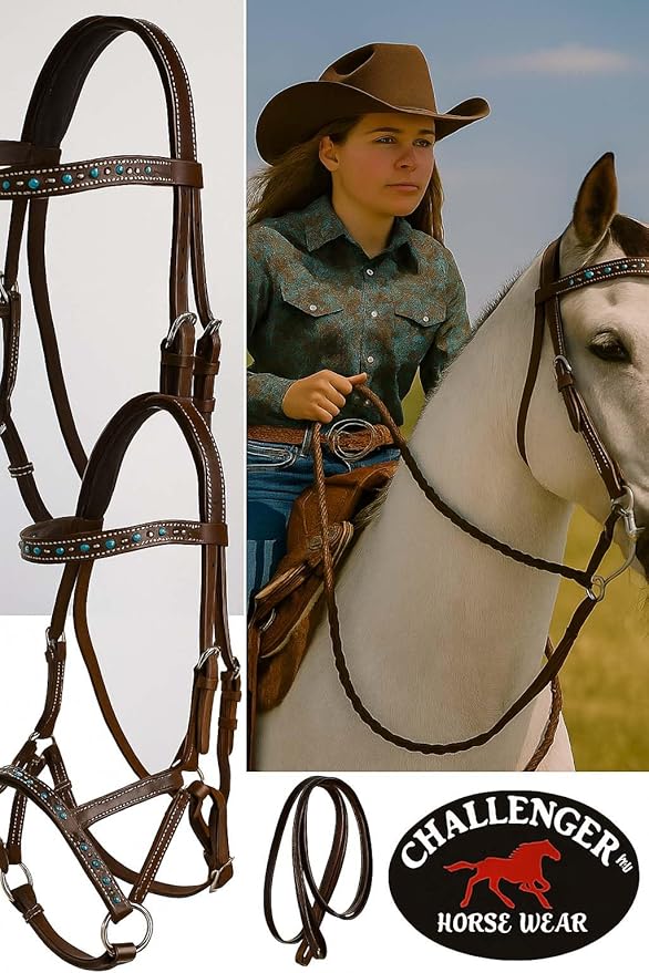 CHALLENGER Horse Western Leather Tack Bitless Sidepull Bridle Reins Brown Turquoise 77RS07TR