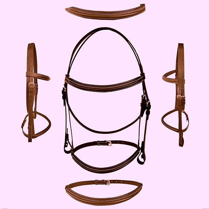 Majestic Ally Padded Raised English Bridle, Premium Leather, Matching Laced Reins