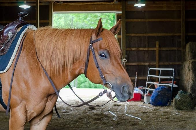 Tahoe Tack Plain Double Layer Nylon Headstall with Reins
