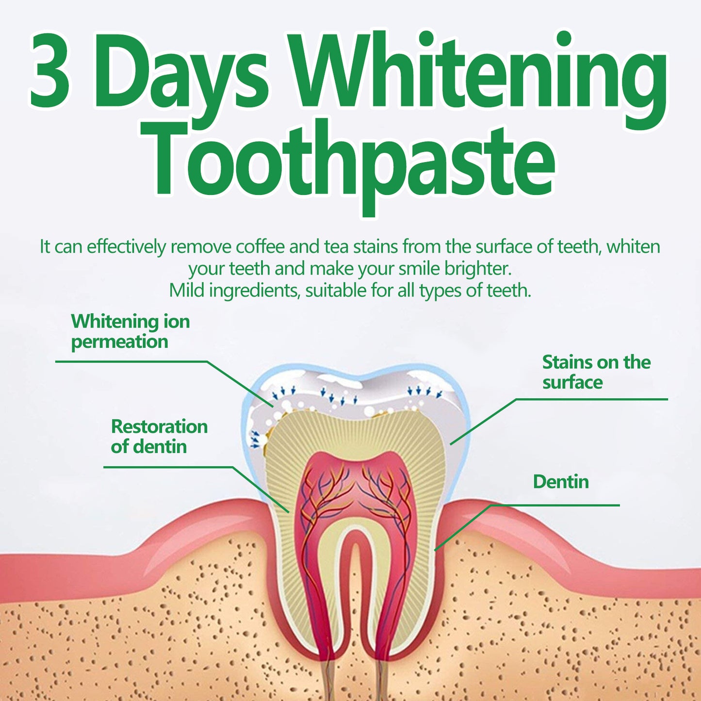 Toothpaste For Cleaning Oral Odor And Protecting Gums