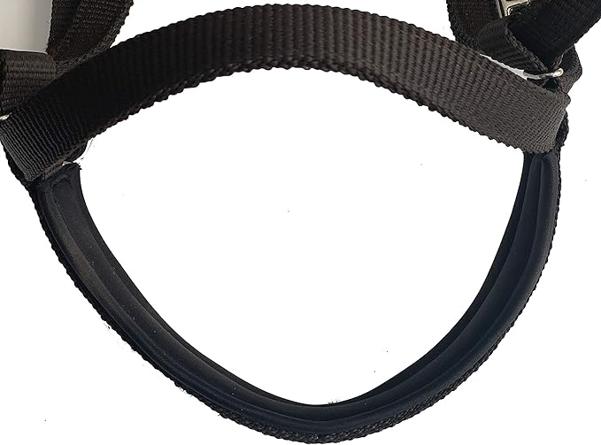 Majestic Ally Nylon Padded Equestrian Browband Headstall, Reins & BreastCollar Set for Horse- Full