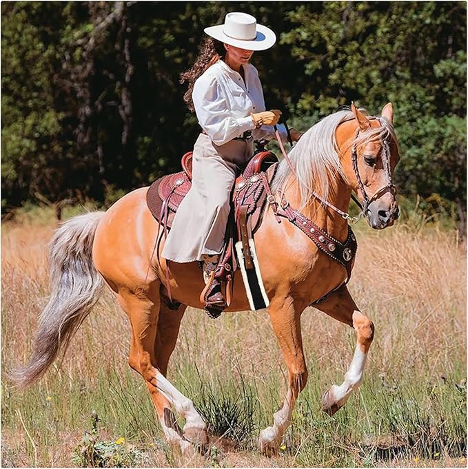 Western Cinch Horse Girth 28" to 34" - Soft 25mm Thick Fleece Padding & Non-Slip Nylon Webbing with Stainless Steel Buckles - Comfortable, Durable, and Easy to Install for Western Saddles