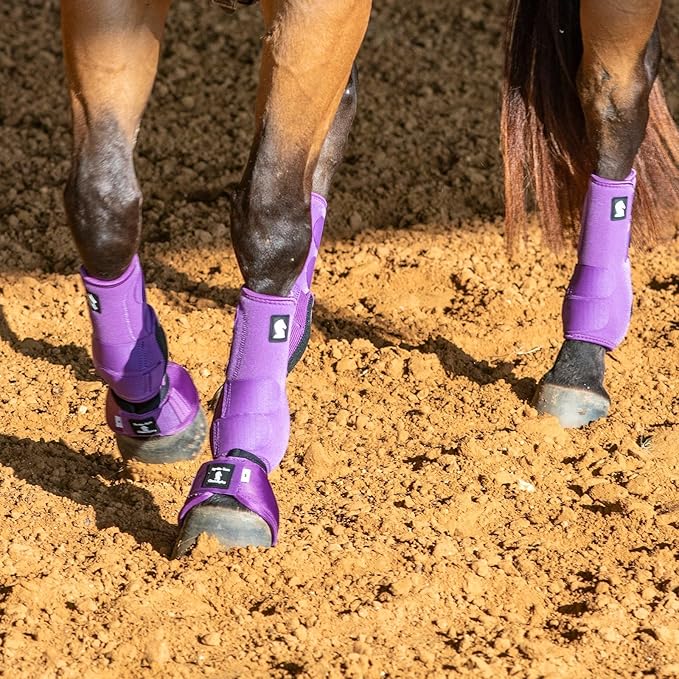 Classic Equine Legacy2 Support Boots, Front (Violet Purple, Large)