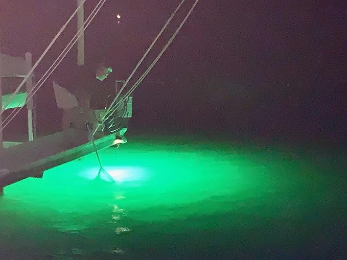 Green Blob Outdoors 高輝度 15000ルーメン 新型水中集魚灯 12V 超ロング50フィートコード QDアリゲータークリップ & シガーライターアダプター付属 LED集魚灯、テキサス製 (50ft)