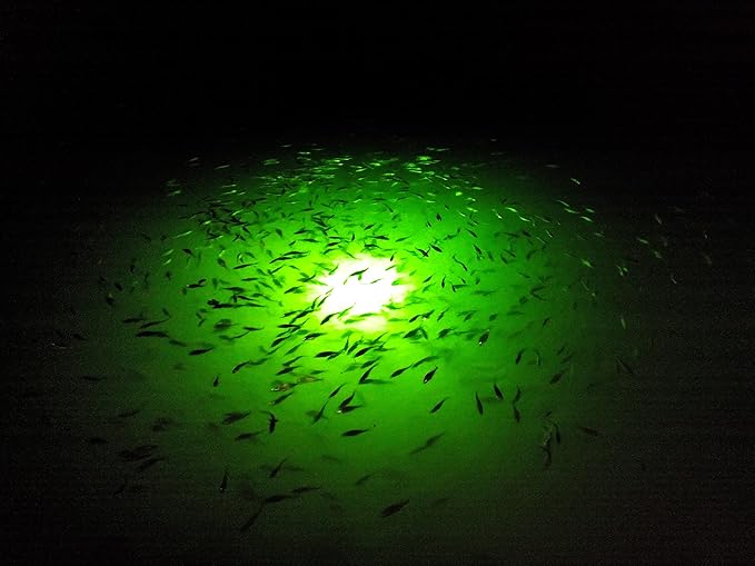 水中集魚灯 175W ナチュラルグリーン ドックライト – 自動夜間センサー付きプロフェッショナル集魚システム – 海水・淡水ドック用船舶グレード水中ライト