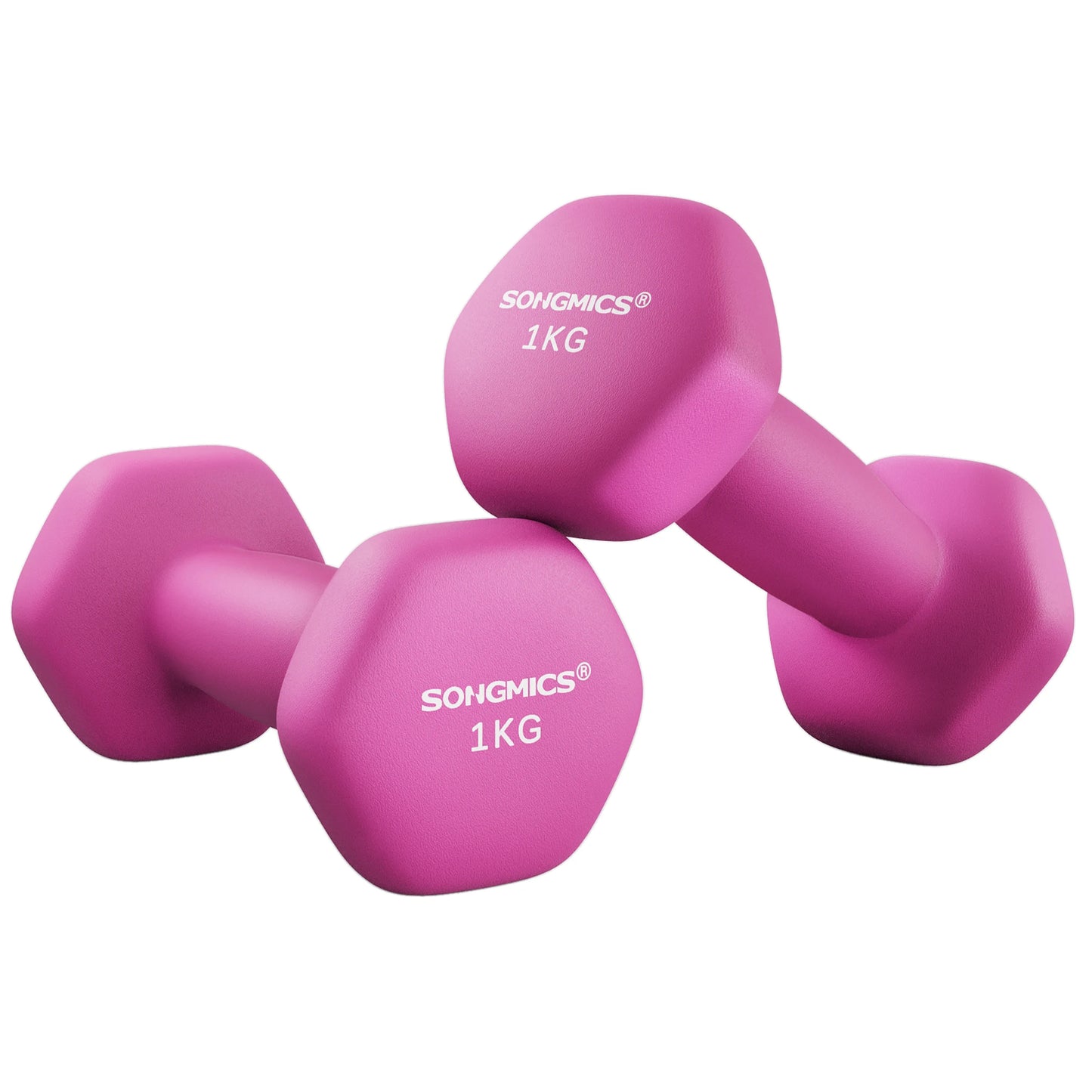 SONGMICS Dumbbells Set of 2 2 x 1kg Dumbbells Hexagon Neoprene Coating Strength Training Workout Fitness Training Home Ash