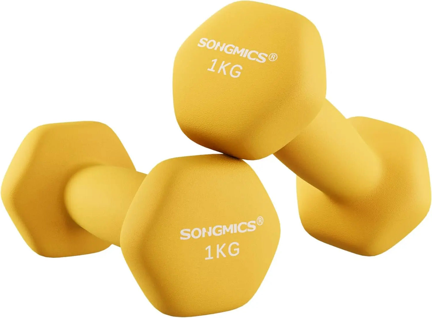 SONGMICS Dumbbells Set of 2 2 x 1kg Dumbbells Hexagon Neoprene Coating Strength Training Workout Fitness Training Home Ash