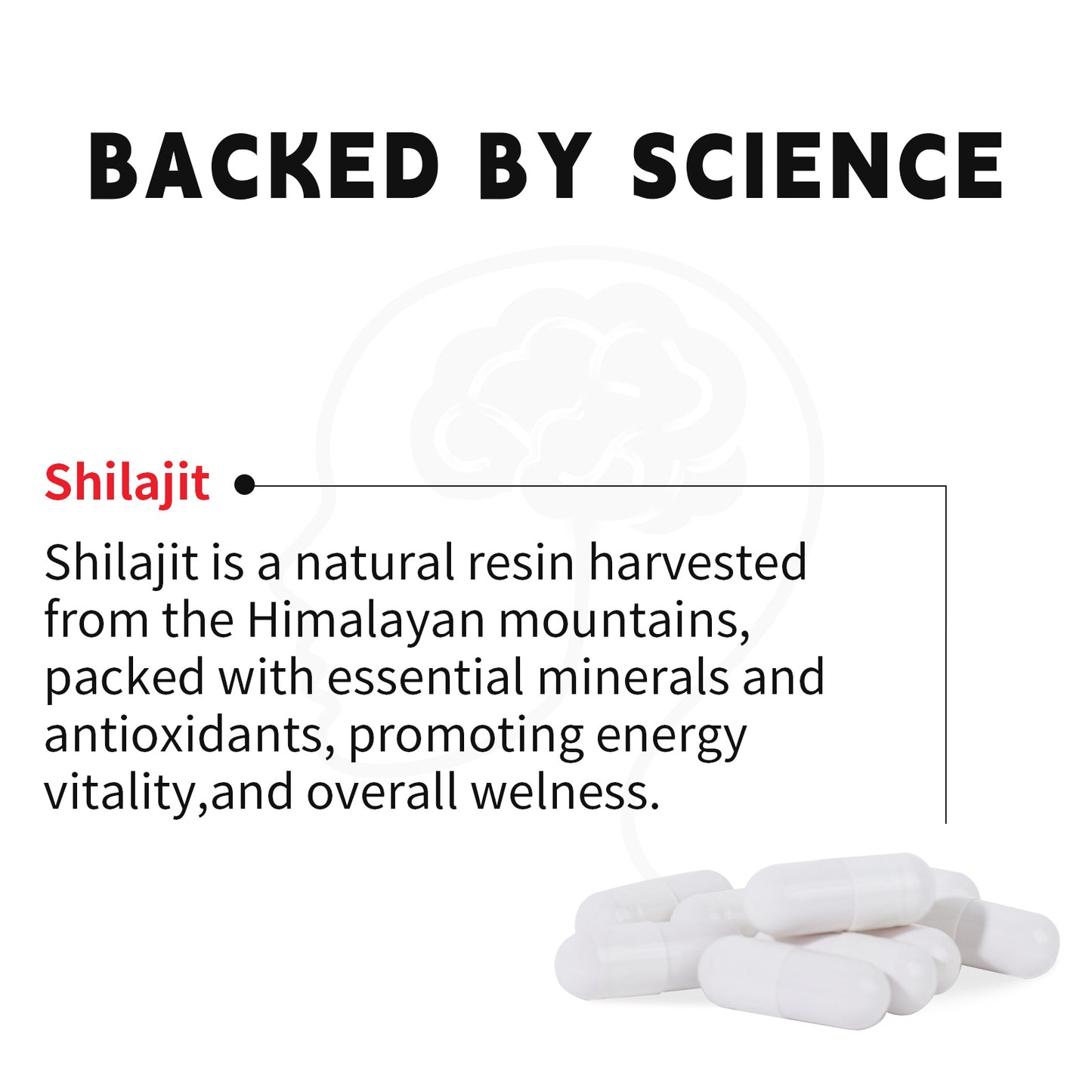 Xilaizhi Capsules 750mg 60 Capsules