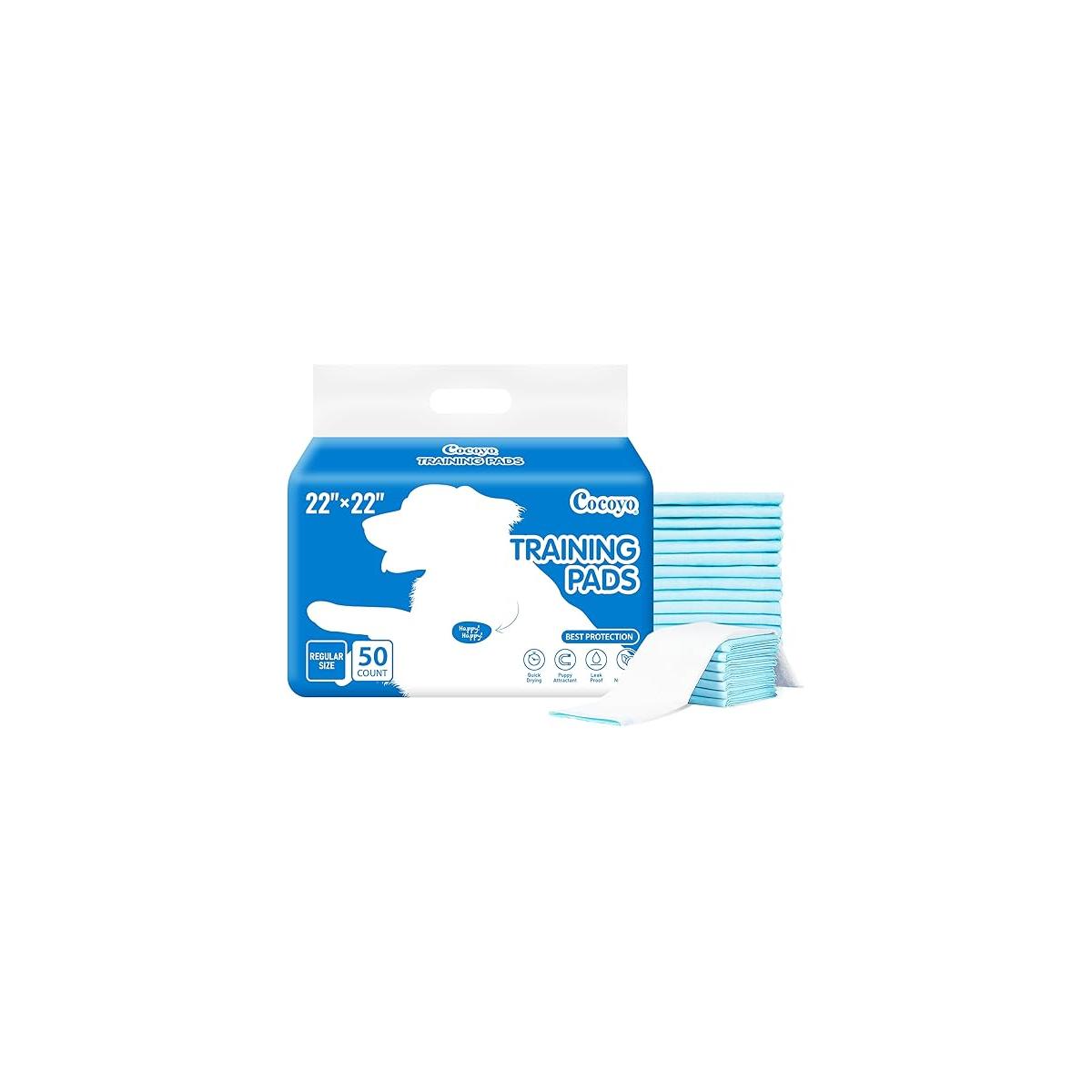 https://ssl.hakyungsoft.com/himg/Url/link/Y3NubWozOTE5/1933/1200/f.jpg