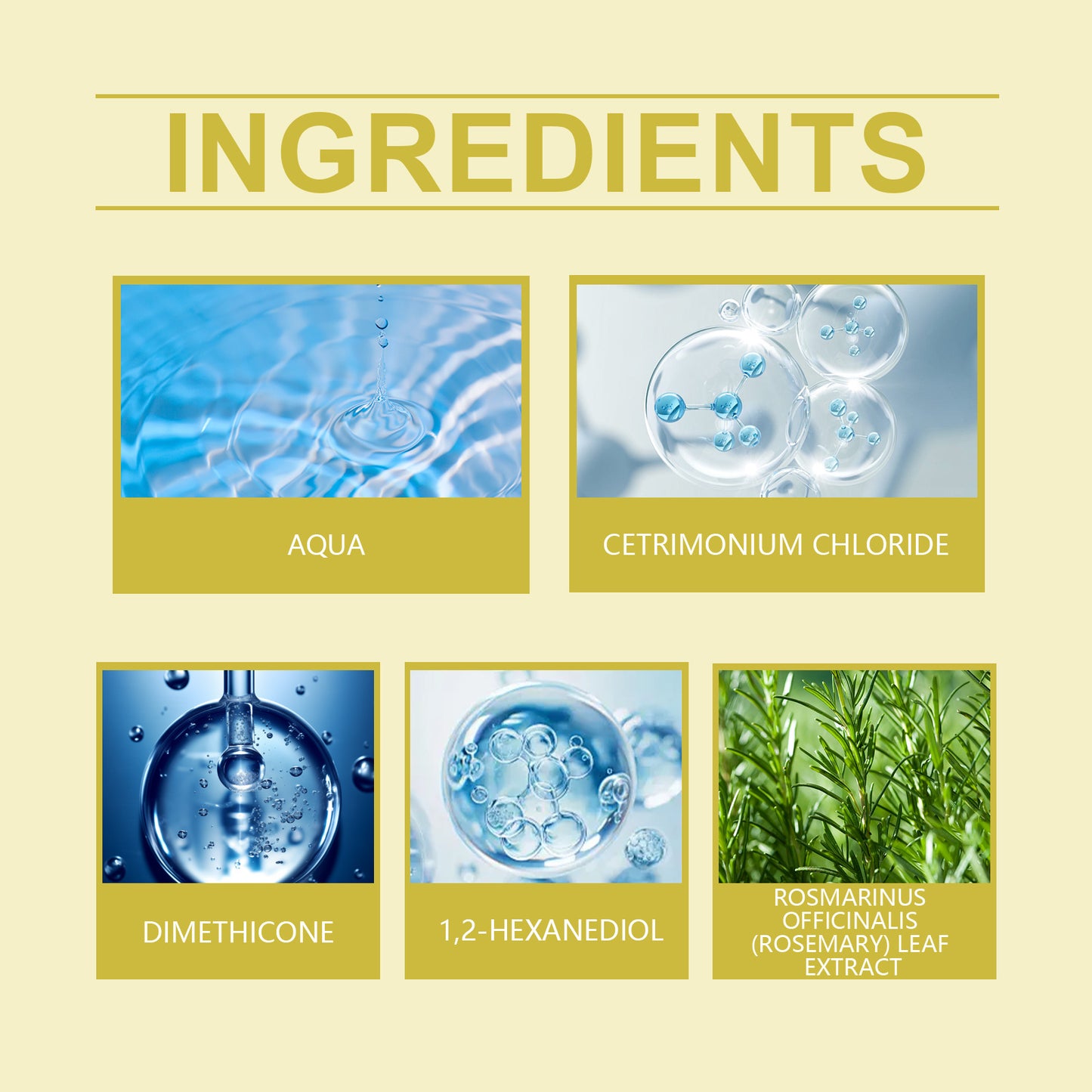 EELHOE Ginger Rosemary Conditioner Repairs Dry Hair, Moisturizes Hair Strands, Smooths Hair And Reduces Frizz