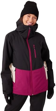 Roxy Women's Peakside 10K Waterproof Insulated Ski Jacket