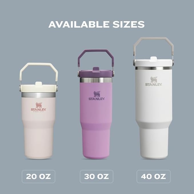 STANLEY IceFlow 2.0 フリップストロータンブラー ハンドル付き 20oz | ツイストオンリッドとフリップアップストロー | 漏れ防止ウォーターボトル | 真空断熱ステンレス | BPAフリー | フロスト
