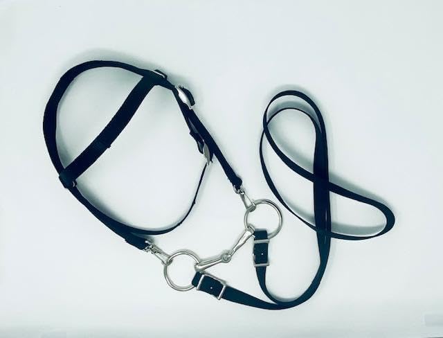 Miniature Horse/Small Pony Nylon Bridle Black -Free BIT (Snaffle Style Varies)