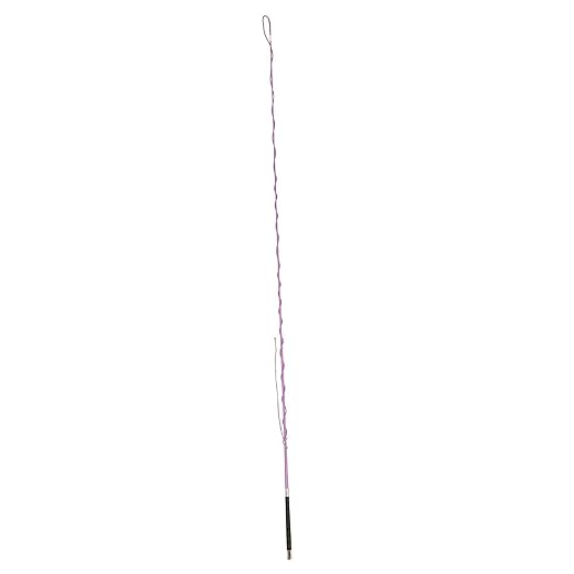 Dublin Lunge Whip with Grip Handle, Purple, 79"