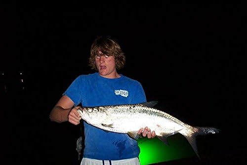 Green Underwater Dock Light - Brightest HID Submersible Light for Enhanced Fishing, Dock Illumination, Nighttime Safety, Easy Installation - Easy Installation