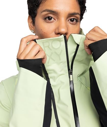 Roxy Women's Stretch Purelines GORE-TEX Waterproof Ski Jacket