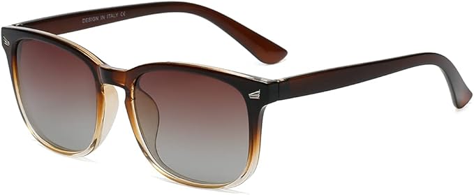 DUSHINE レディース 偏光サングラス クラシックレトロスタイル UV400保護
