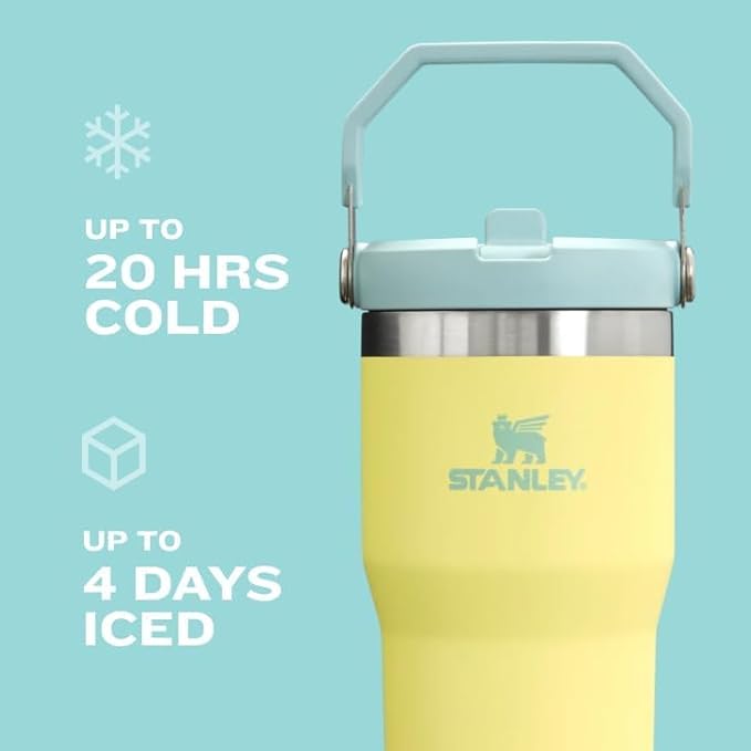 STANLEY IceFlow 2.0 Flip Straw Tumbler with Handle 30 oz | Twist On Lid and Flip Up Straw | Leak Resistant Water Bottle | Insulated Stainless Steel | BPA-Free | Cranberry