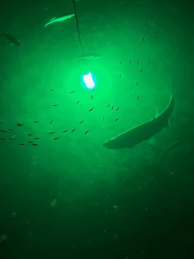 Green Blob Outdoors 高輝度 15000ルーメン 新型水中集魚灯 12V 超ロング50フィートコード QDアリゲータークリップ & シガーライターアダプター付属 LED集魚灯、テキサス製 (50ft)