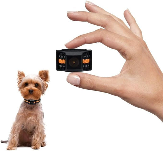 Tiniest Bark Collar for Small Dogs 5-15lbs, Only 1.6 * 1in & 0.42oz, No Shock with Vibration &Sound, Extra Small & Rechargeable, 5 Sensitivity Levels（Orange）