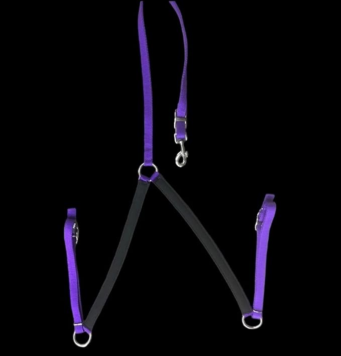 Majestic Ally Nylon Padded Equestrian Browband Headstall, Reins & BreastCollar Set for Horse- Full