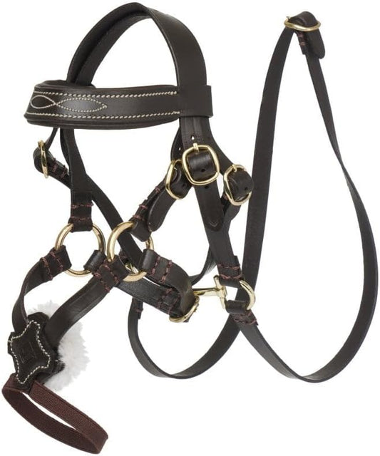 LeMieux Mini Toy Pony Grackle Bridle