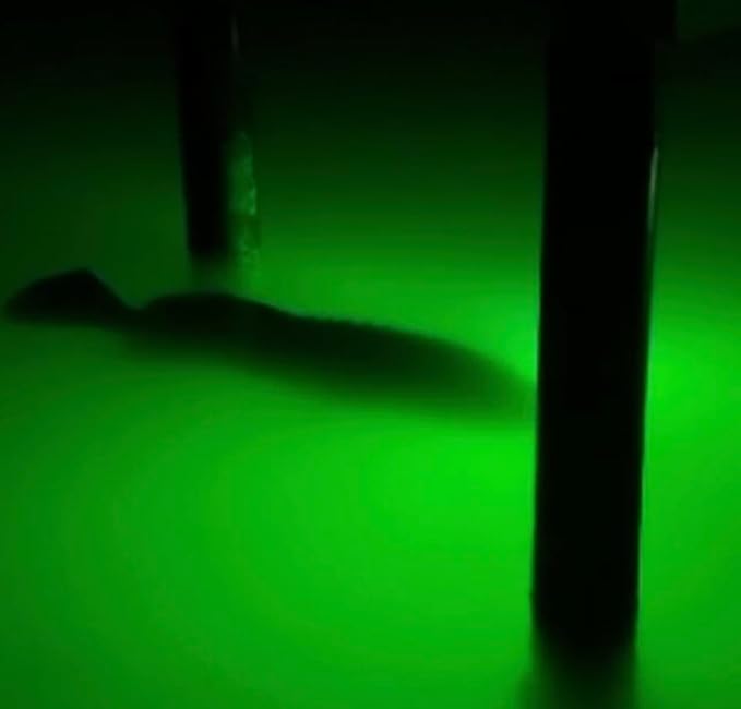 Saltwater Approved Barnacle Burner Underwater Fish Light, 250 Watt Extreme Brilliant Green 21,000 Lumens Single Dock Light 50' Marine Grade Lamp Cable, Automatic Dusk to Dawn, Easy Self Installation.