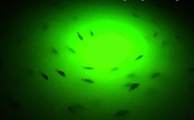 海水対応、セルフクリーニング、バーナクルバーナー水中魚ライト、明るいグリーン7,900ルーメン、シングルドックライト完全キット、50フィートランプケーブル、自動夕暮れから夜明けまで、簡単セルフ設置。