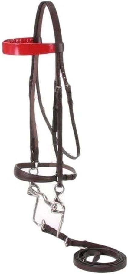 Silver Fox Walking Horse Bridle