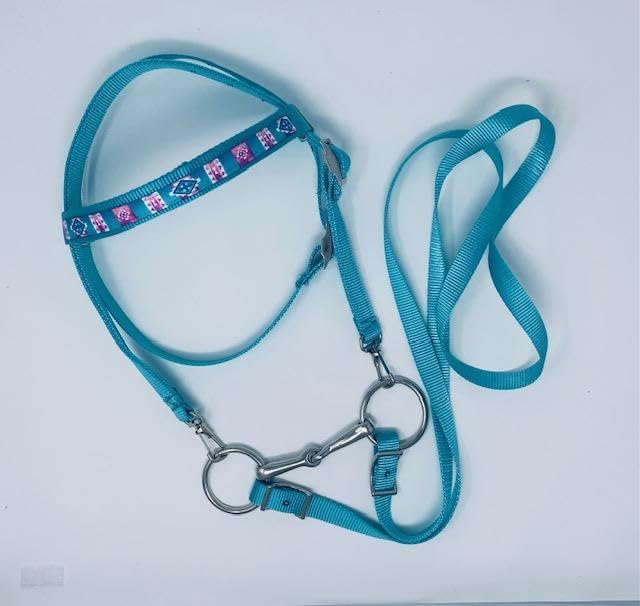 Miniature Horse/SM Pony Turquoise Bridle with Native Overlay - Free BIT (Snaffle Style Varies)