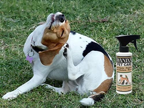 BANIXX Horse and Pet Care Spray, Skin Support for Horses, Dogs, and Cats, Alcohol-Free, Non-Staining, No Odor, Made in USA, All-Weather Grooming Formula, 2 oz