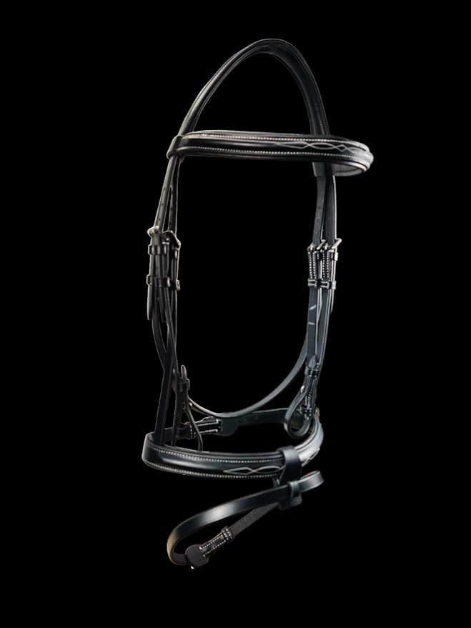 Hunter Bridle - Fancy Stitch with Removable Flash – Anatomical Padded Crown, Classic Hunter Style