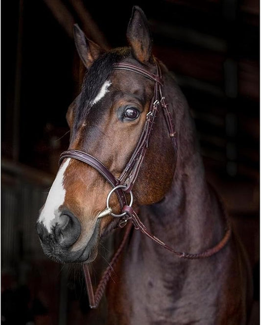 Hunter Bridle - Fancy Stitch with Removable Flash – Anatomical Padded Crown, Classic Hunter Style