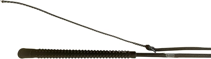 Intrepid International Horse Training Lunge 5' Whip with 4' Lash