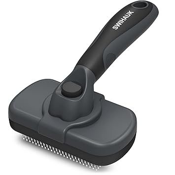 https://m.media-amazon.com/images/I/51gD1kM-2cL._SY355_.jpg